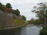 IMG_4094.JPG